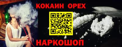 мдпв Кингисепп