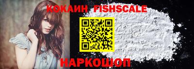 мдпв Кингисепп