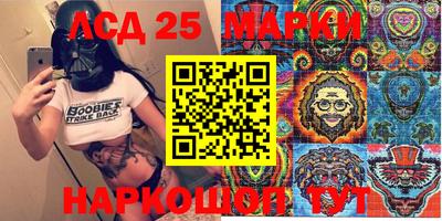 мдпв Кингисепп