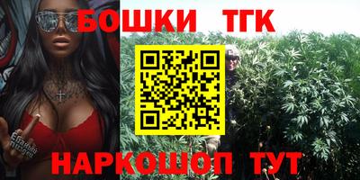 мдпв Кингисепп