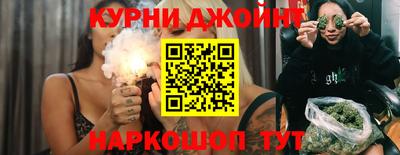 мдпв Кингисепп