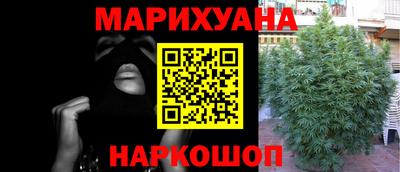 мдпв Кингисепп